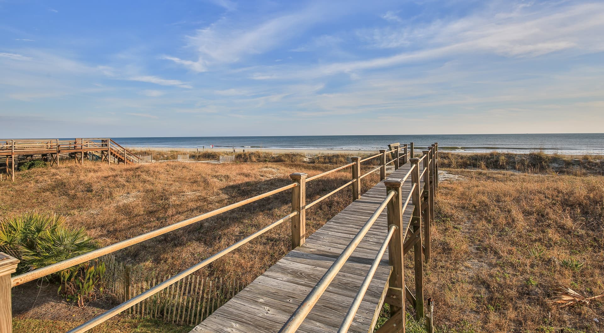 Pink Flamingo - Image 40