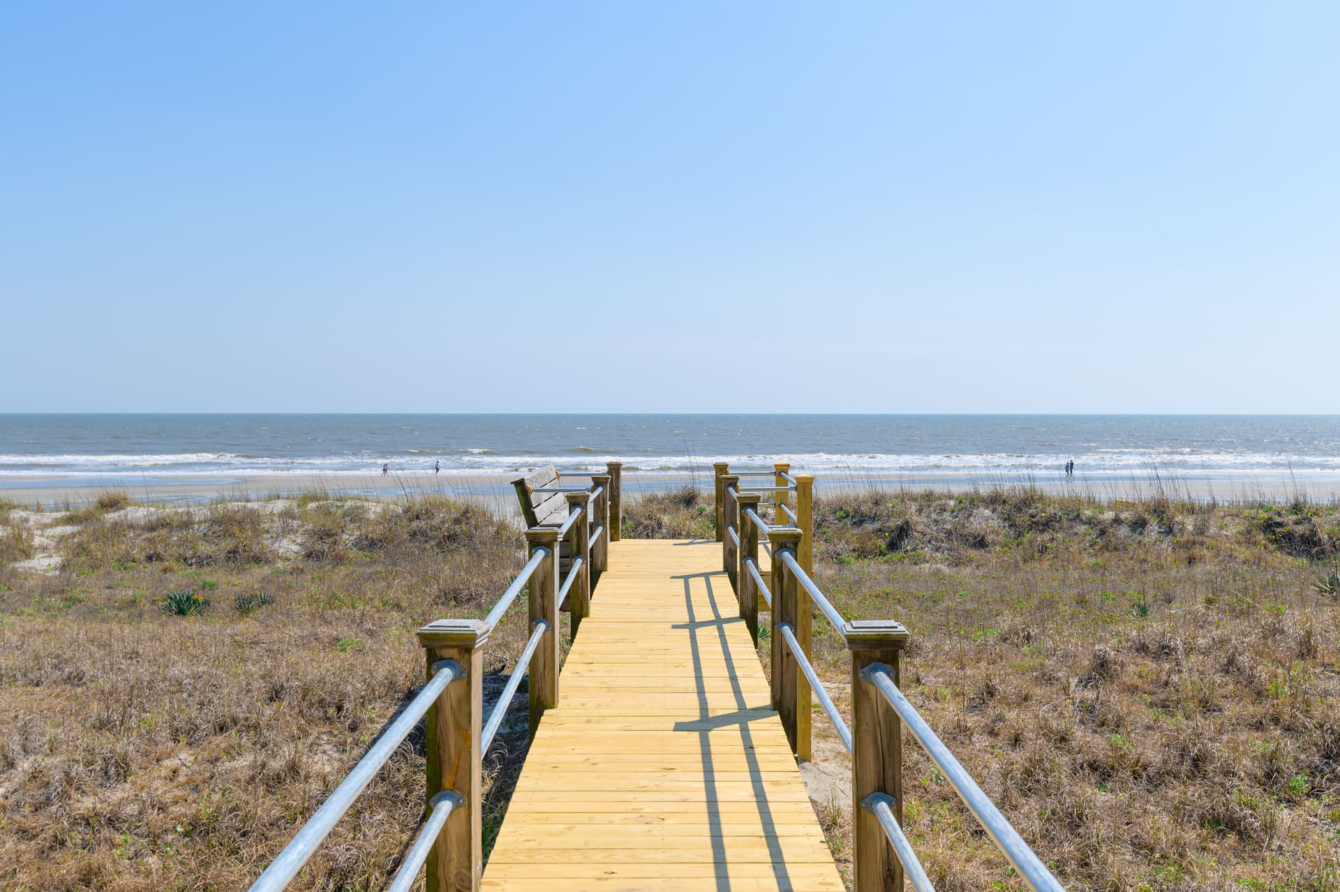 Pink Flamingo - Image 49