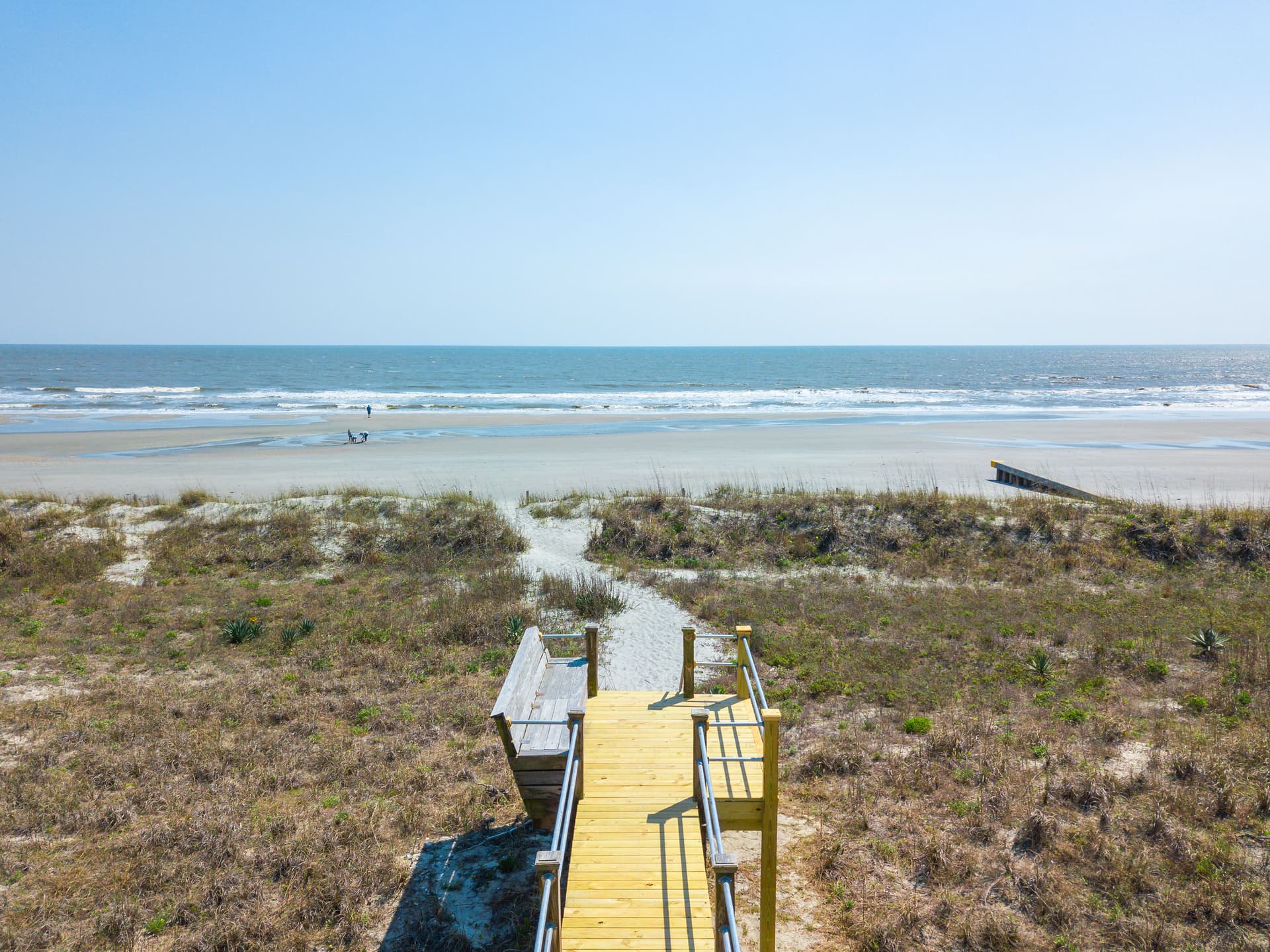 Pink Flamingo - Image 61