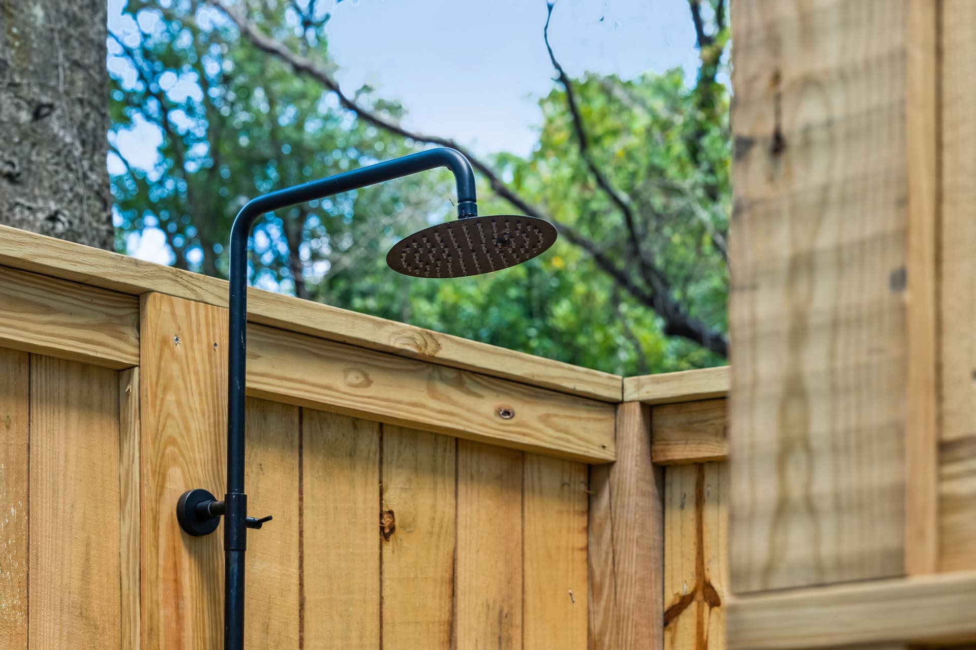 Follynesia - Image 30