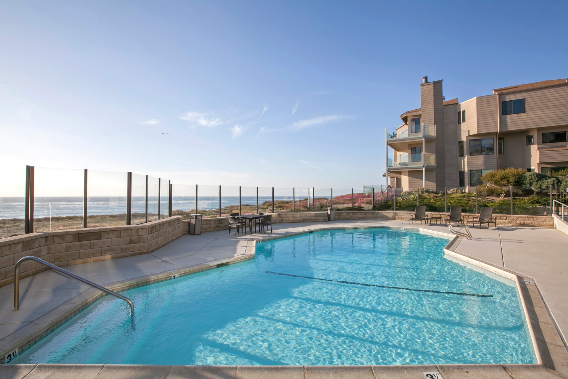 Enchanting Oasis - Image 3