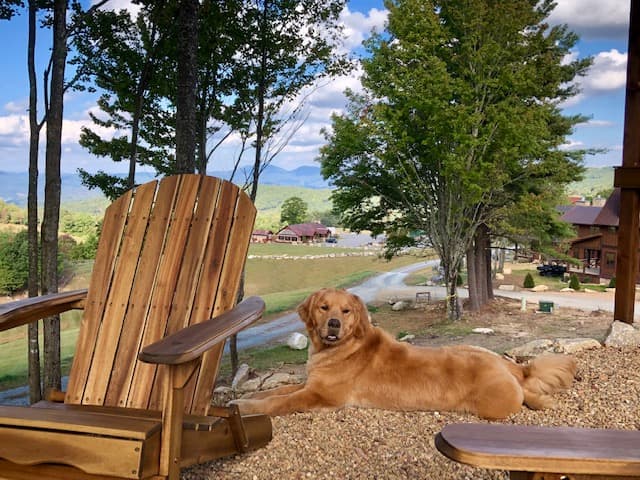 Evergreen Home - Image 24