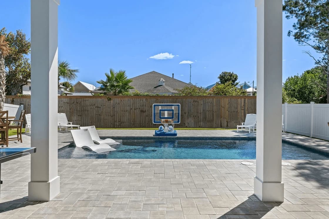 Tipsea Turtle - Image 2