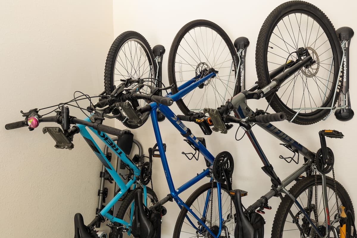 Eucalyptus - Image 17