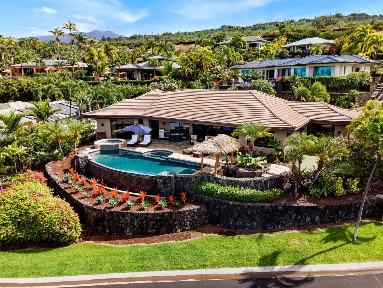 Island Oasis - Image 1
