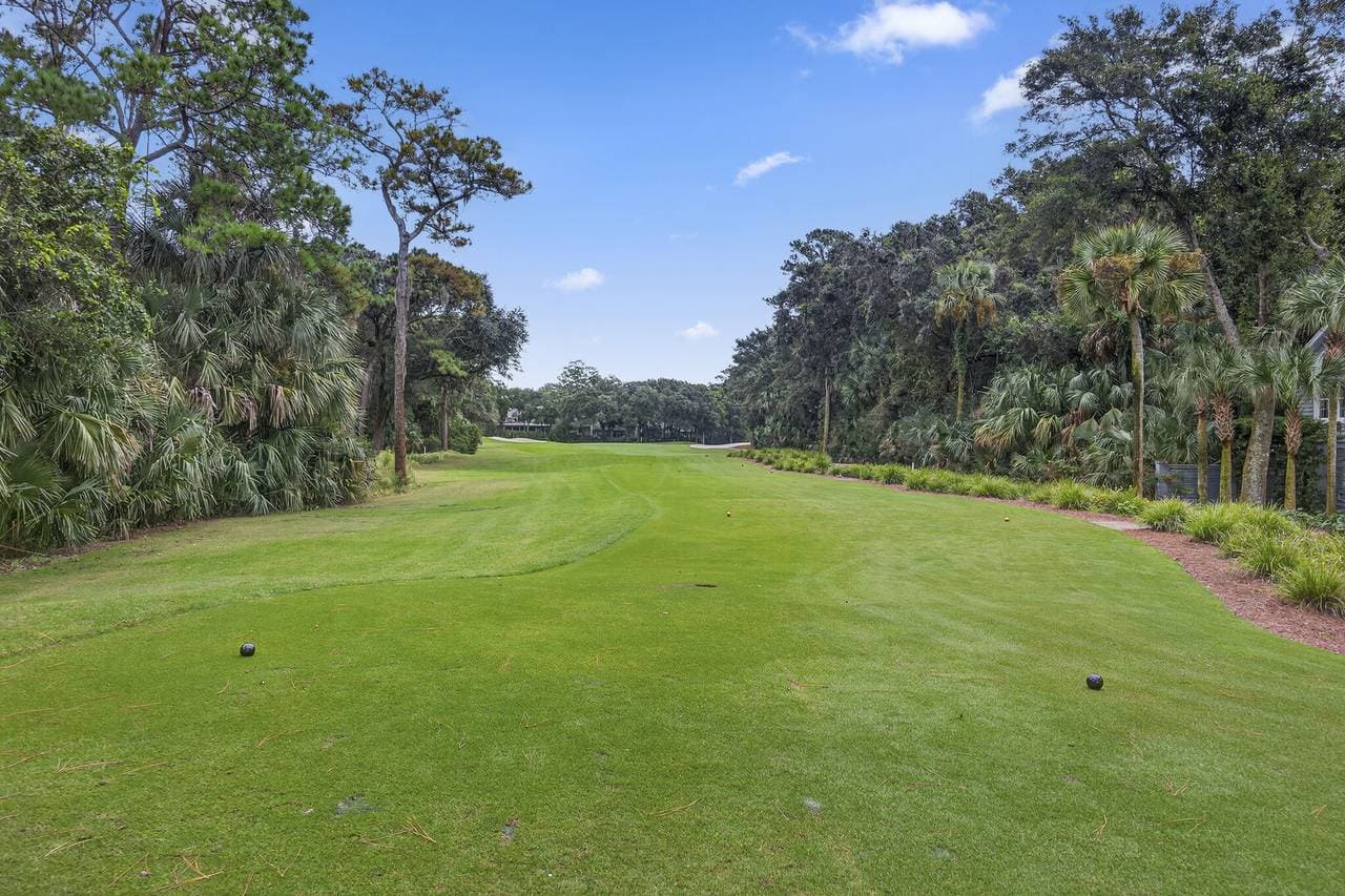 Marsh Hawk - Image 58