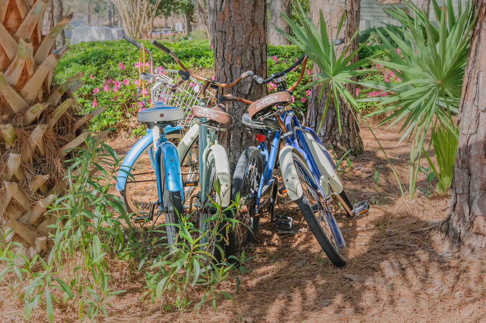 Fairways #260 - Image 42