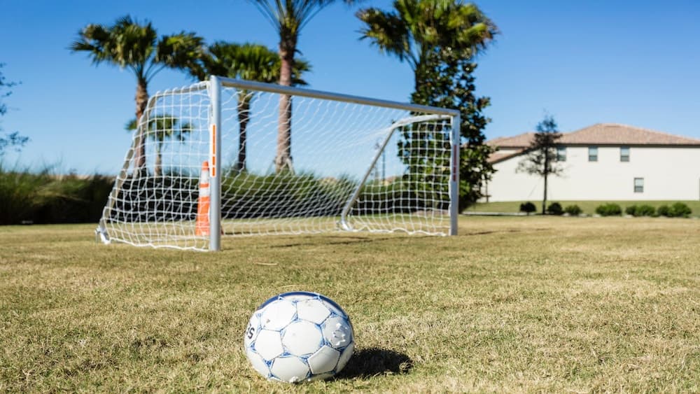 Family Fun Paradise - Image 50