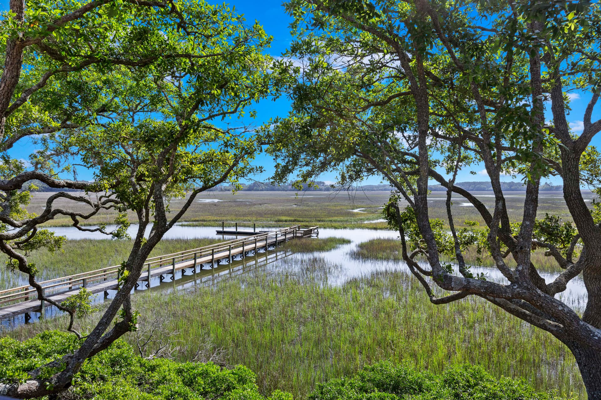 Latitude Adjustment - Image 25