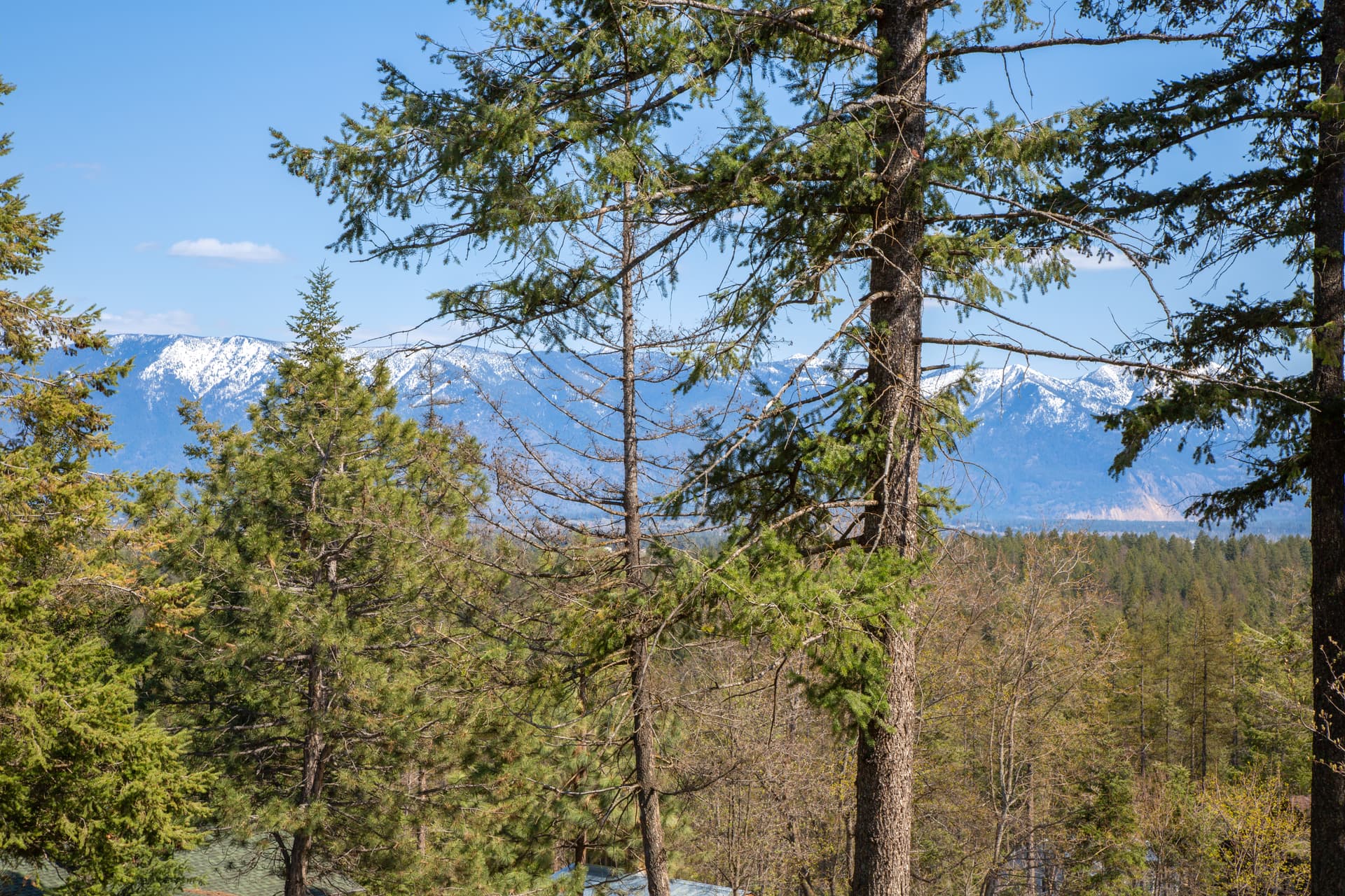 Mountain View Lookout - Image 58