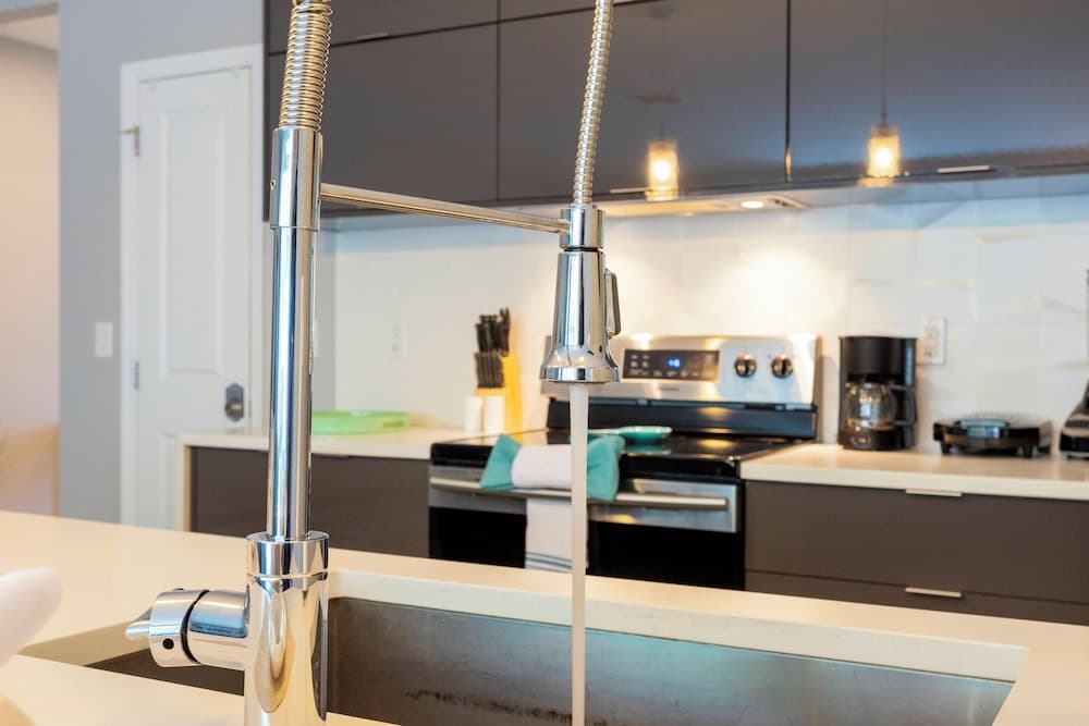 Disney Palms #49 - Image 18