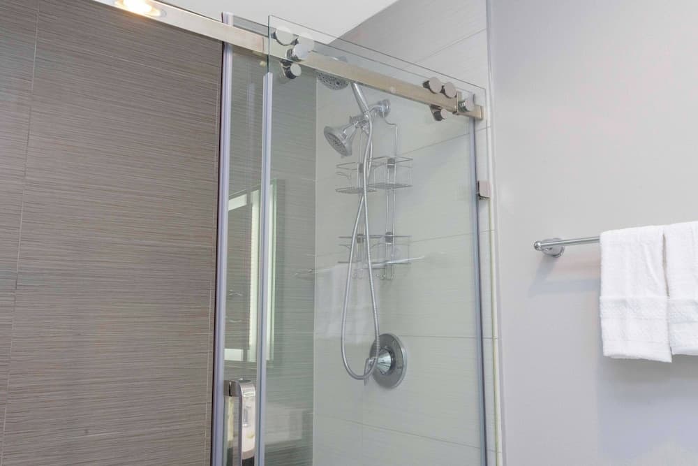 Disney Palms #49 - Image 57