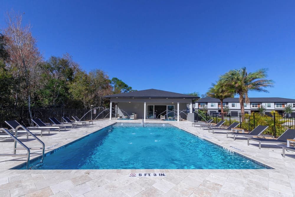 Disney Palms #49 - Image 3