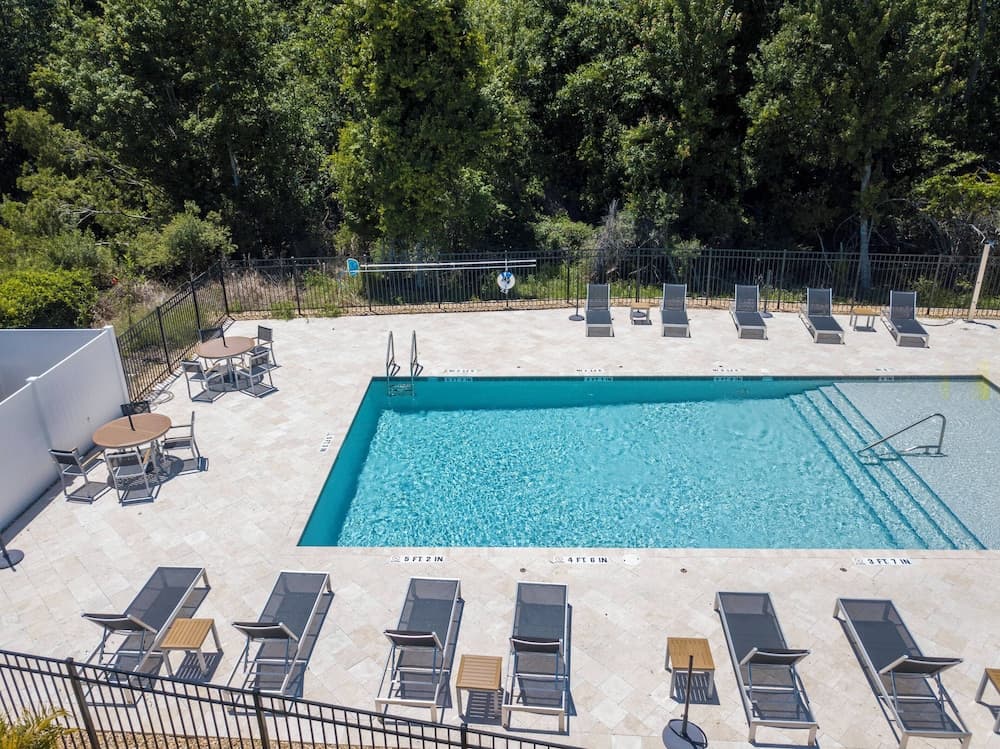 Disney Palms #49 - Image 79