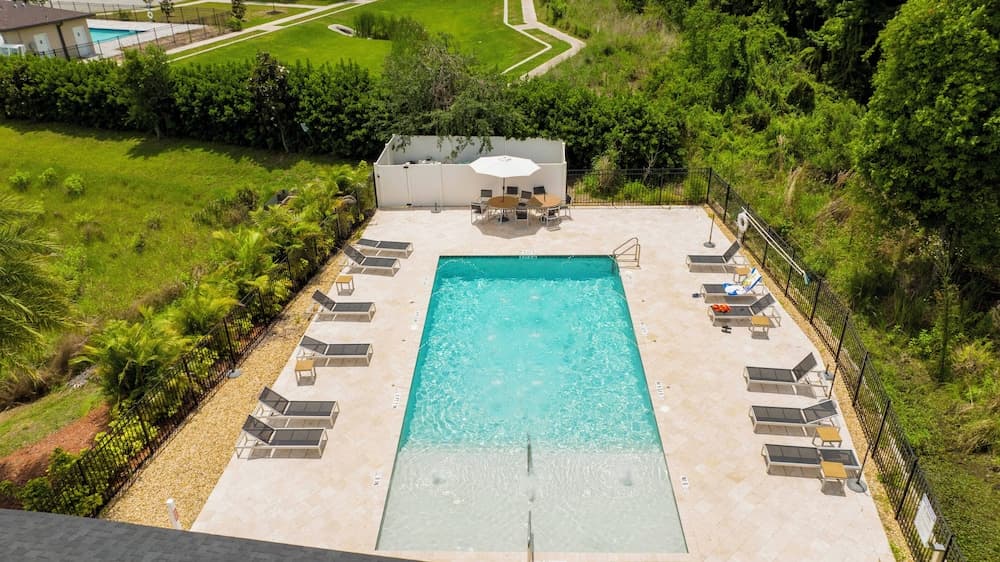 Disney Palms #49 - Image 81