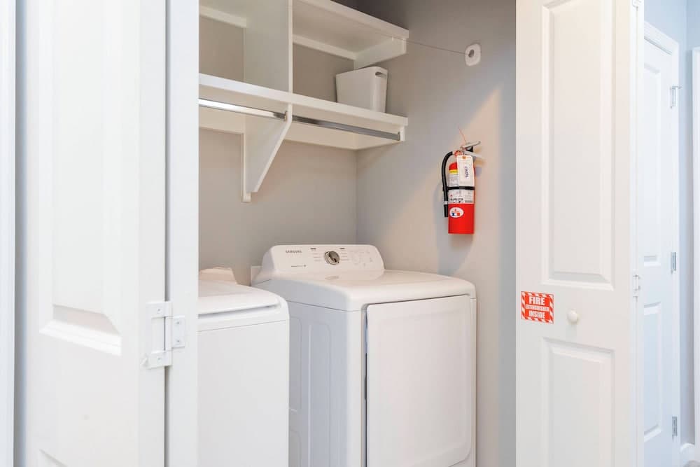 Disney Palms #49 - Image 22