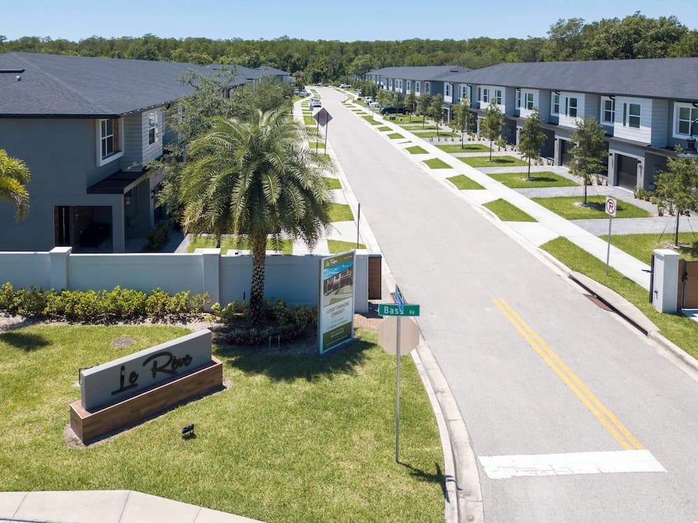 Disney Palms #49 - Image 91