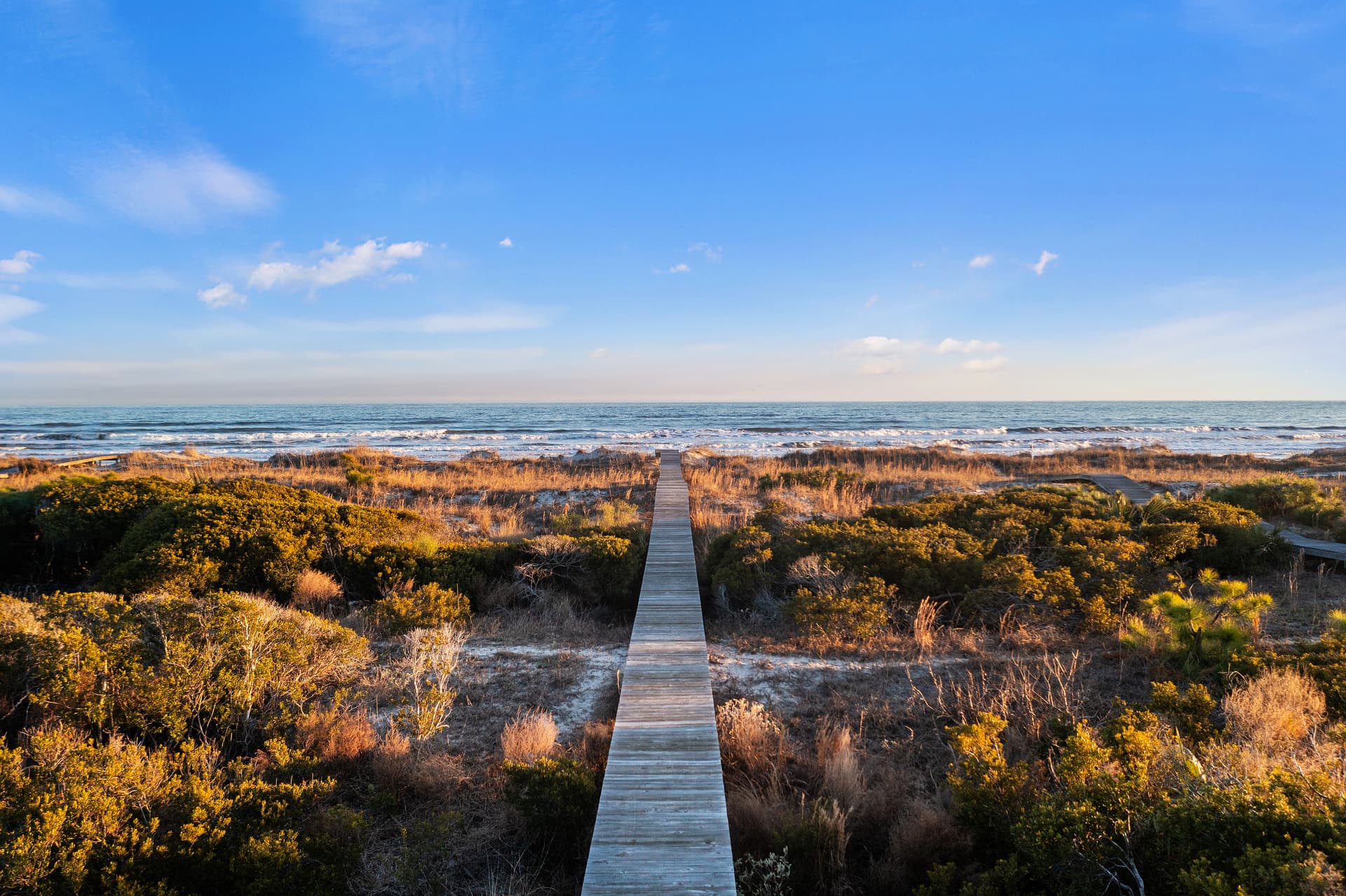 Flyway Dunes - Image 76