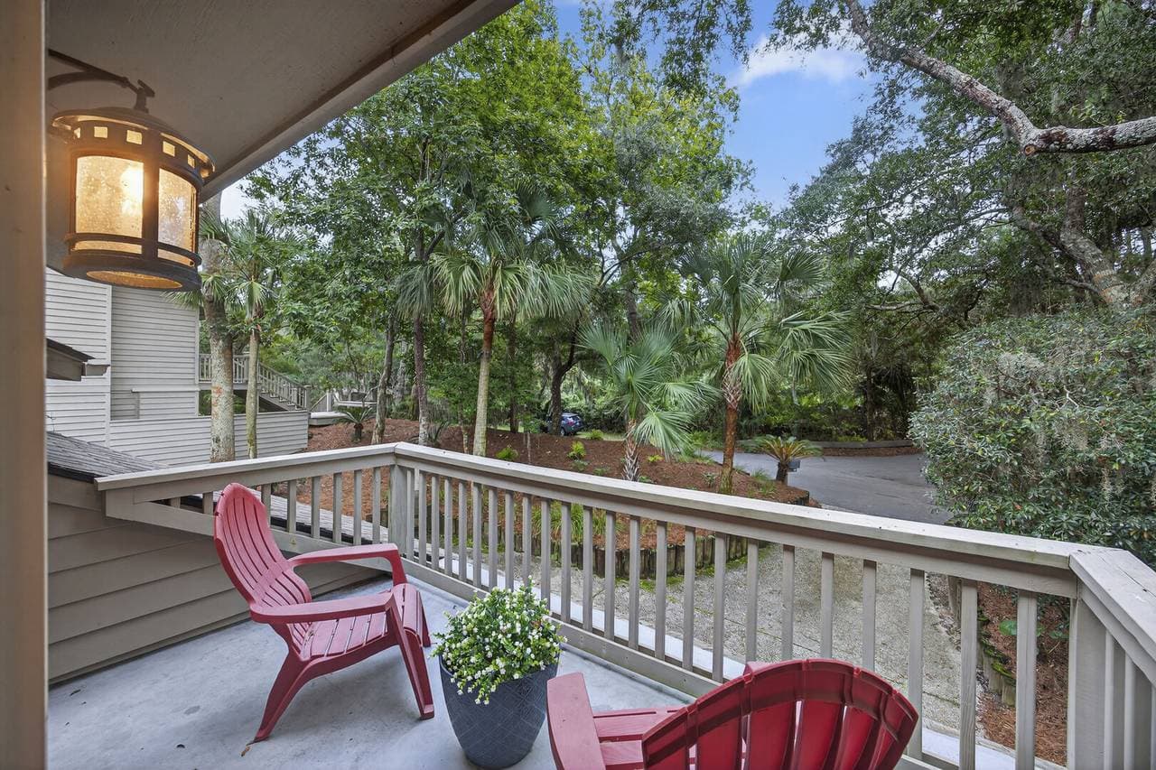 Marsh Hawk - Image 41