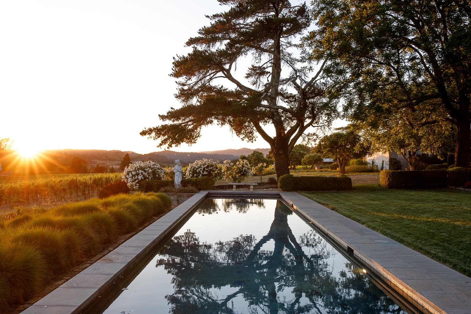 Dalya Estate - Image 61