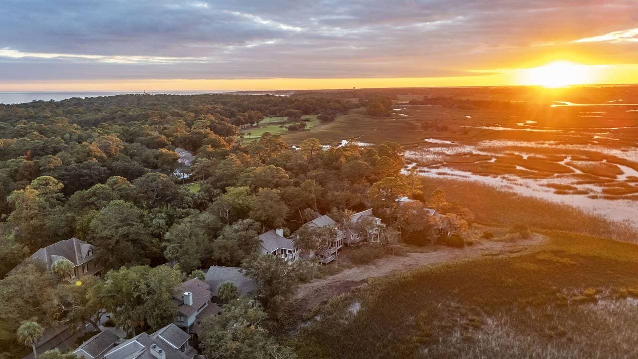 Marsh Hawk - Image 69