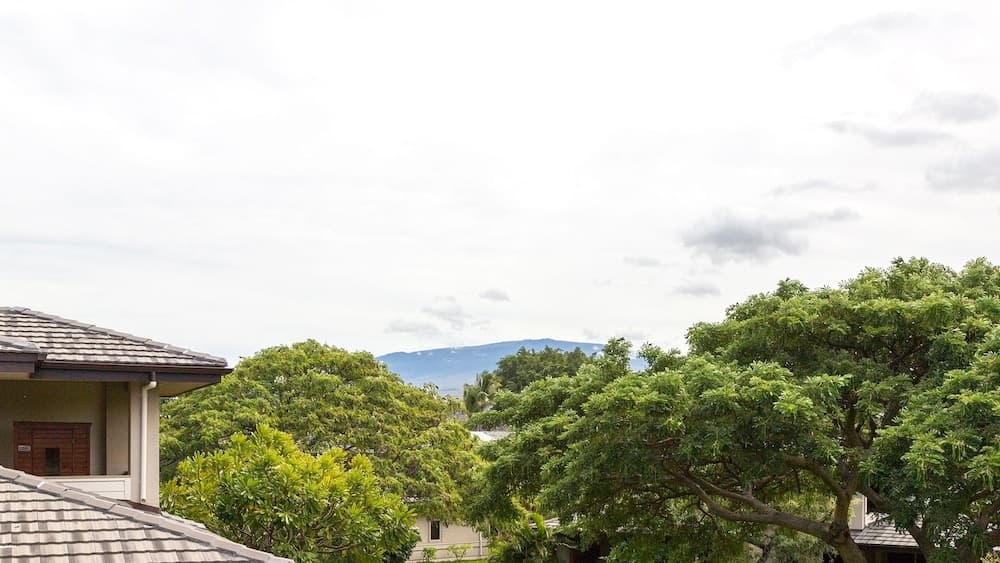 Ges At Mauna Lani #621 - Image 20