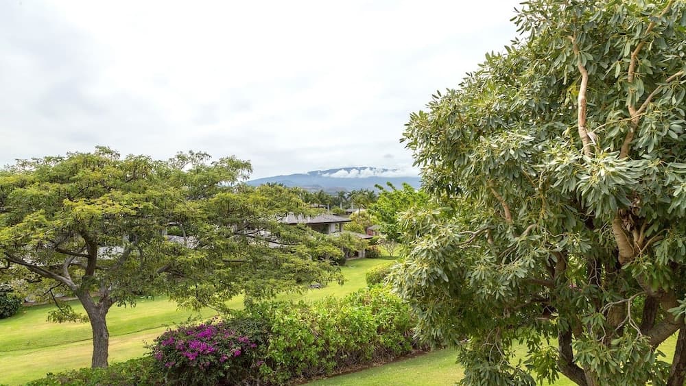 Ges At Mauna Lani #621 - Image 33