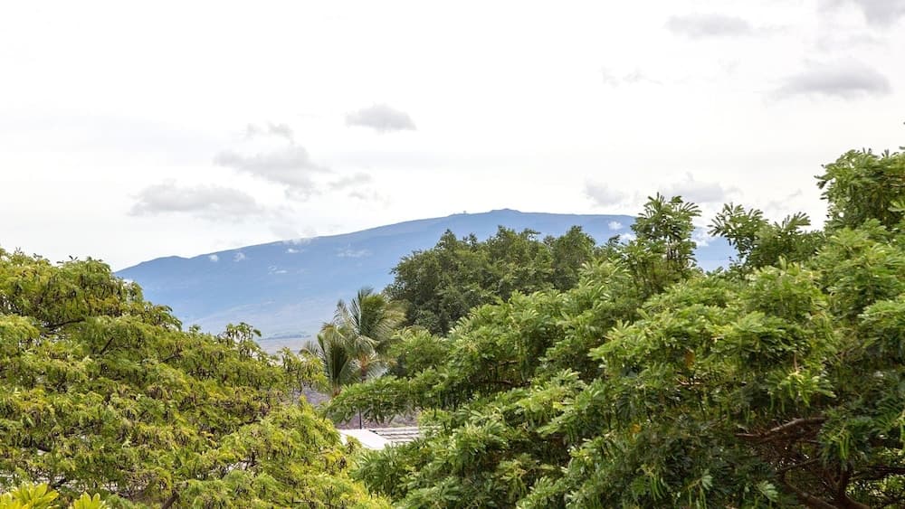 Ges At Mauna Lani #621 - Image 34