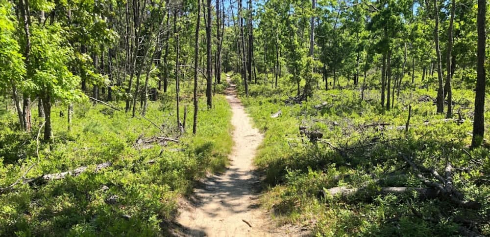 Glass Villa East Hampton - Image 88