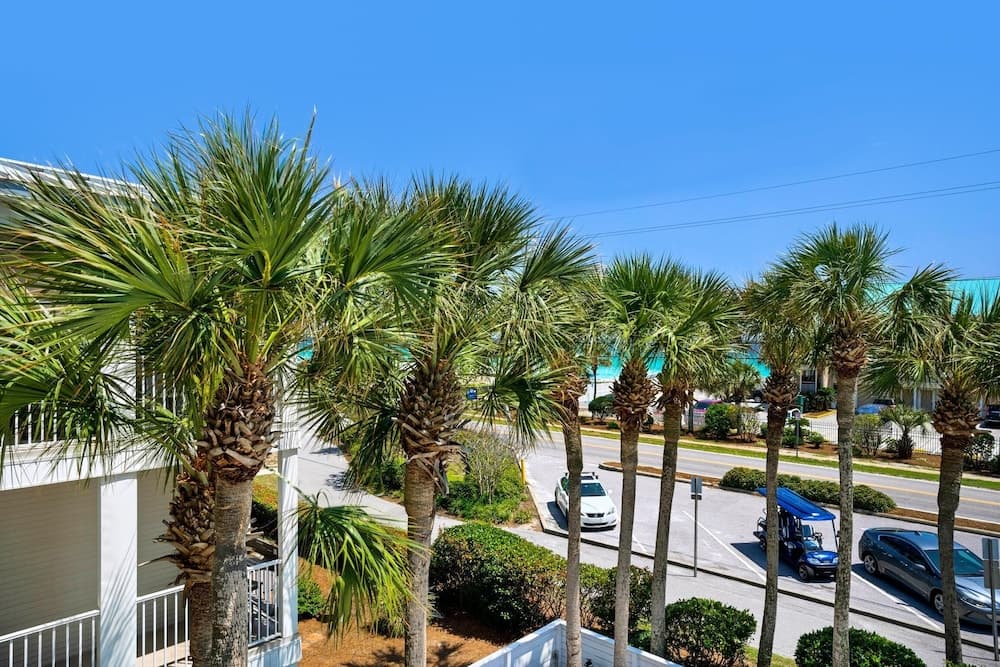 Grand Caribbean East #305 - Image 39