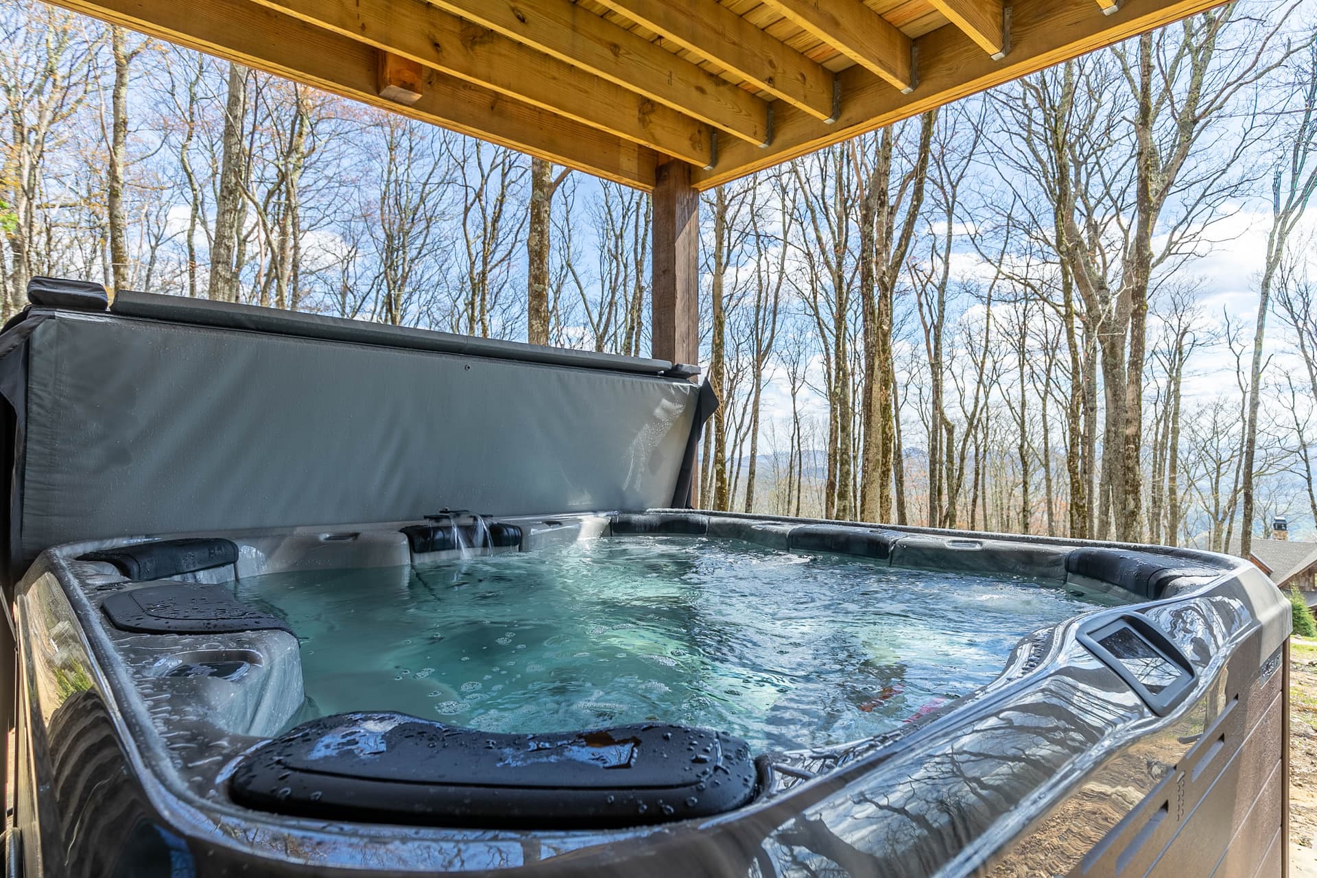 Grayling Lodge House - Image 2