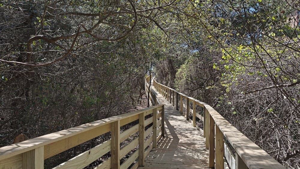 Grayton Grateful - Image 51