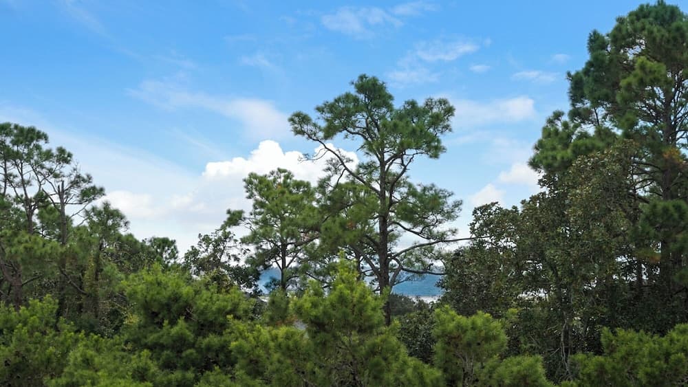 Grayton Grateful - Image 57