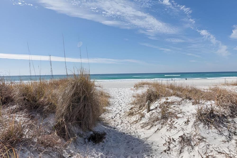 Sun-kissed Memories - Image 34