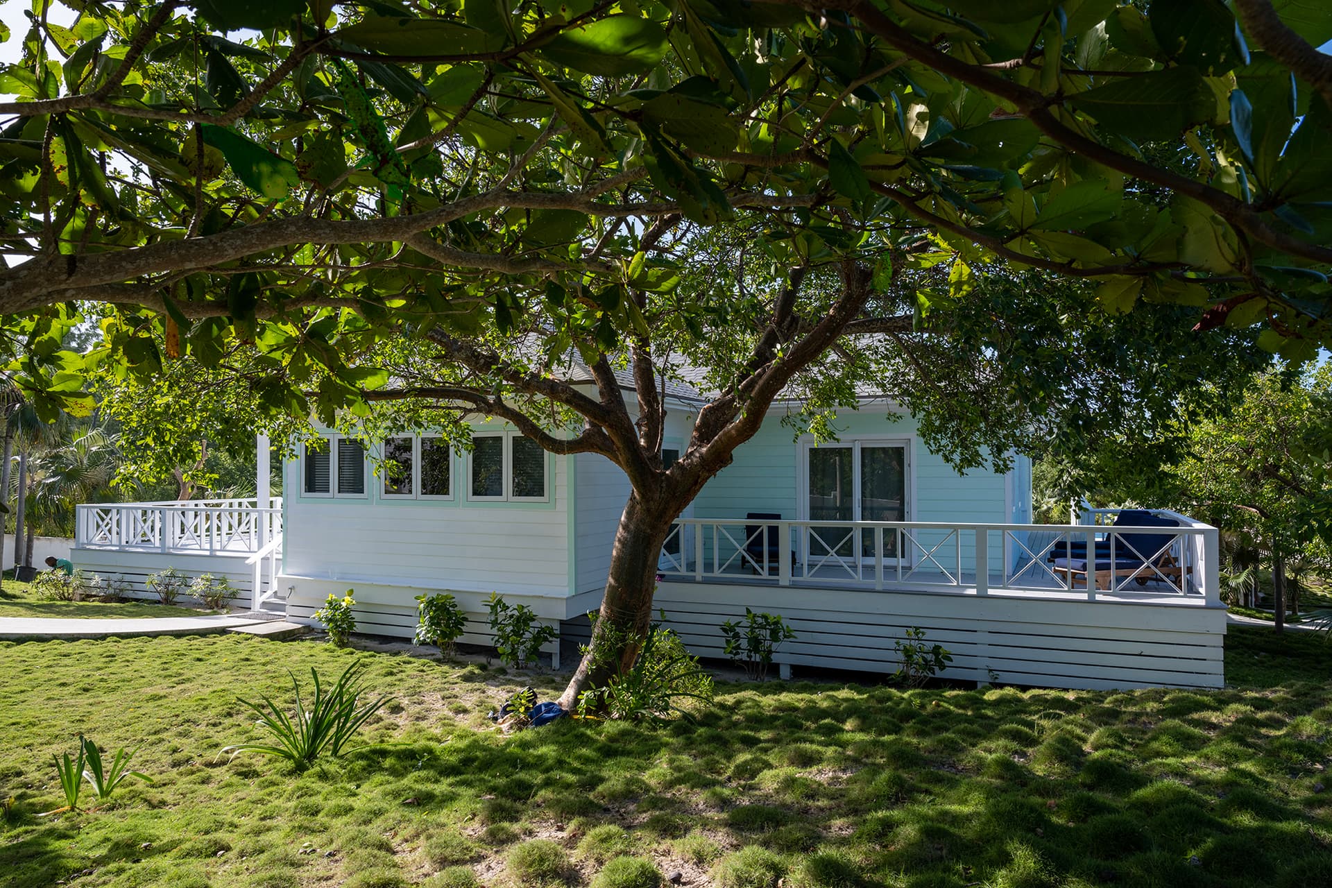 Gumbo Limbo - Image 29