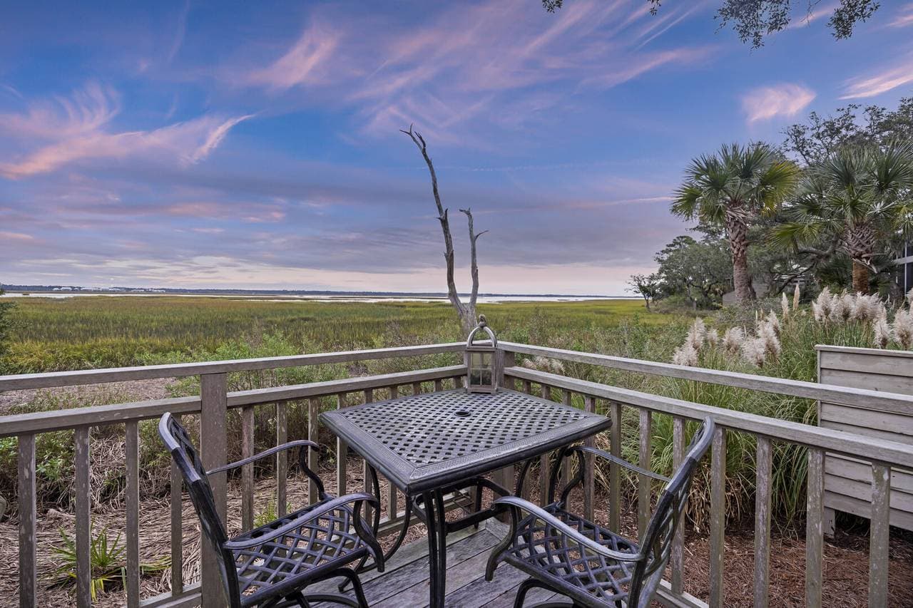 Marsh Hawk - Image 45