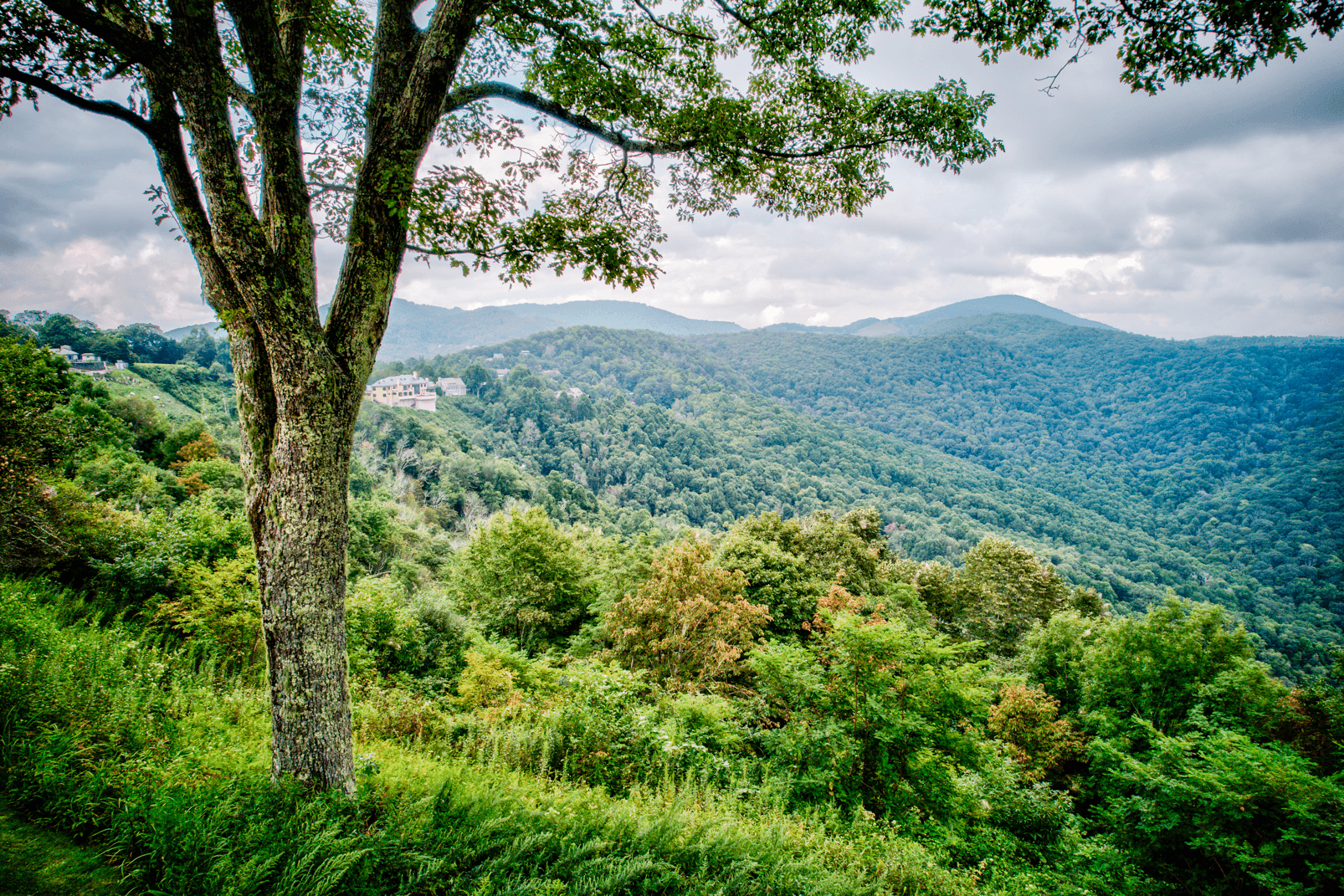 Celestial View - Image 38