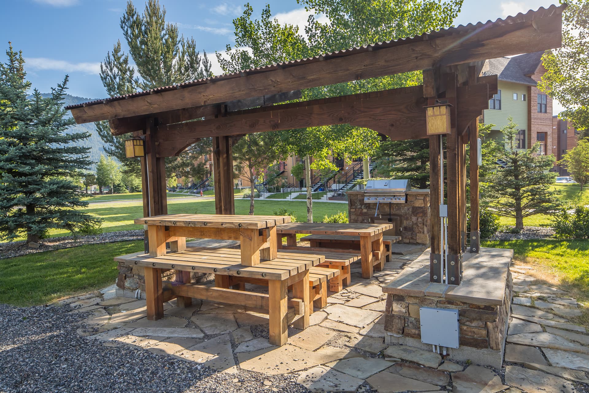 Pheasant #983 - Image 33