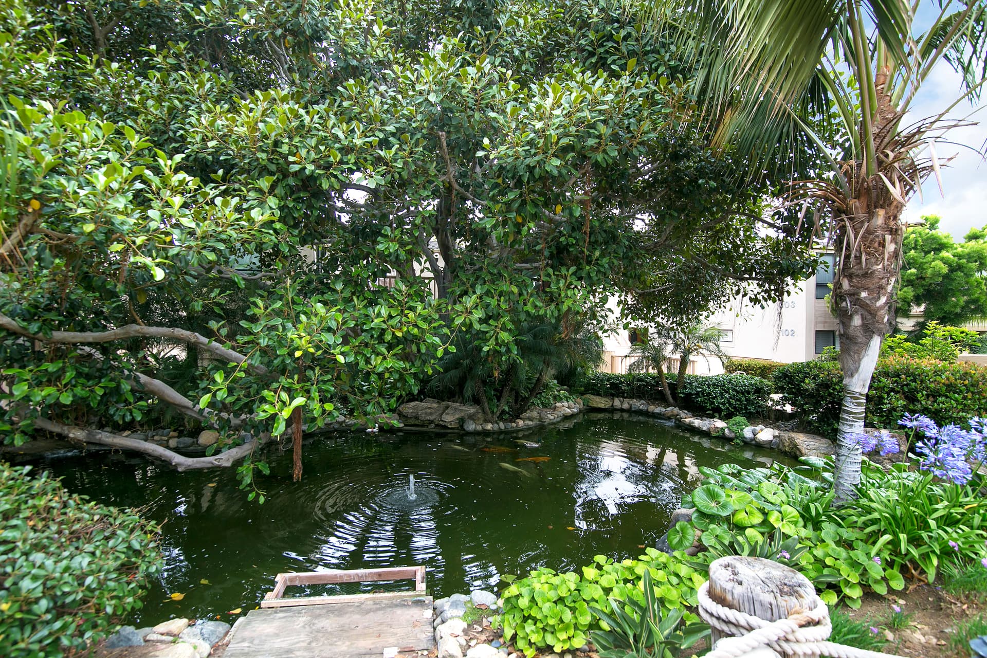 Hacienda Palms - Image 39