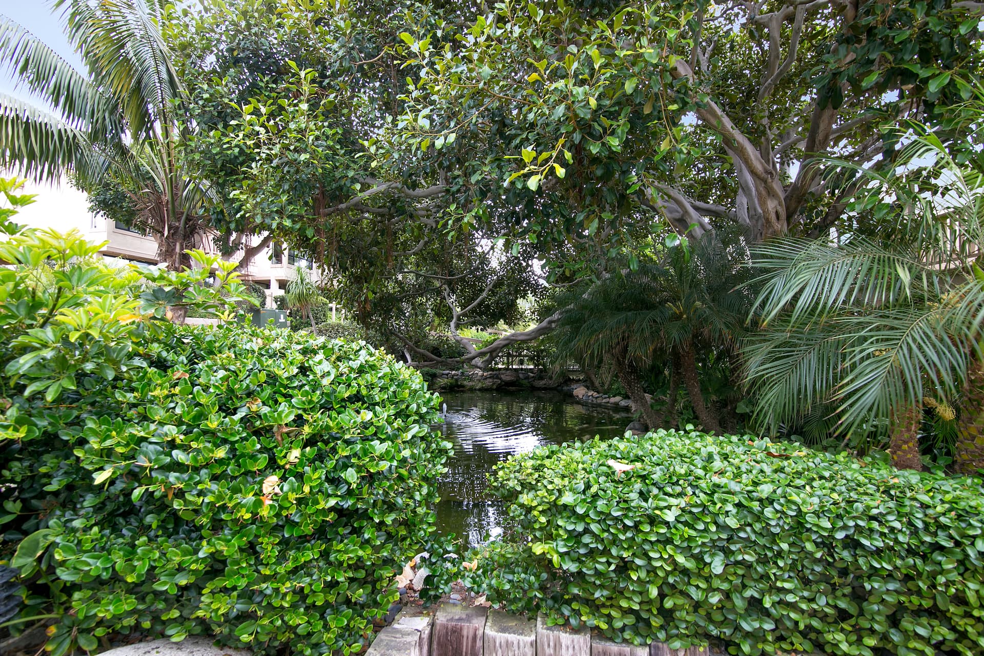 Hacienda Palms - Image 40