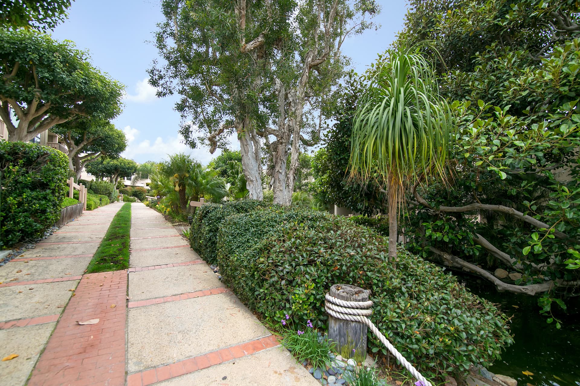 Hacienda Palms - Image 42