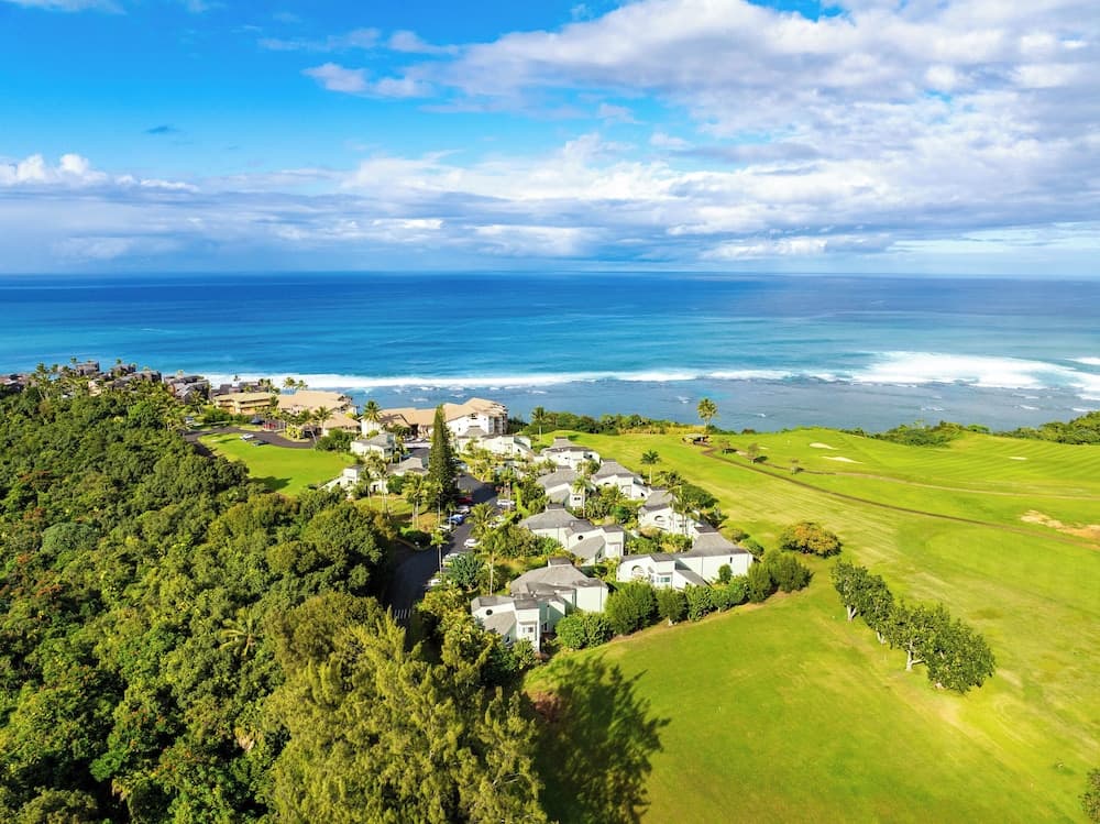 Hale H Omaka - Image 23