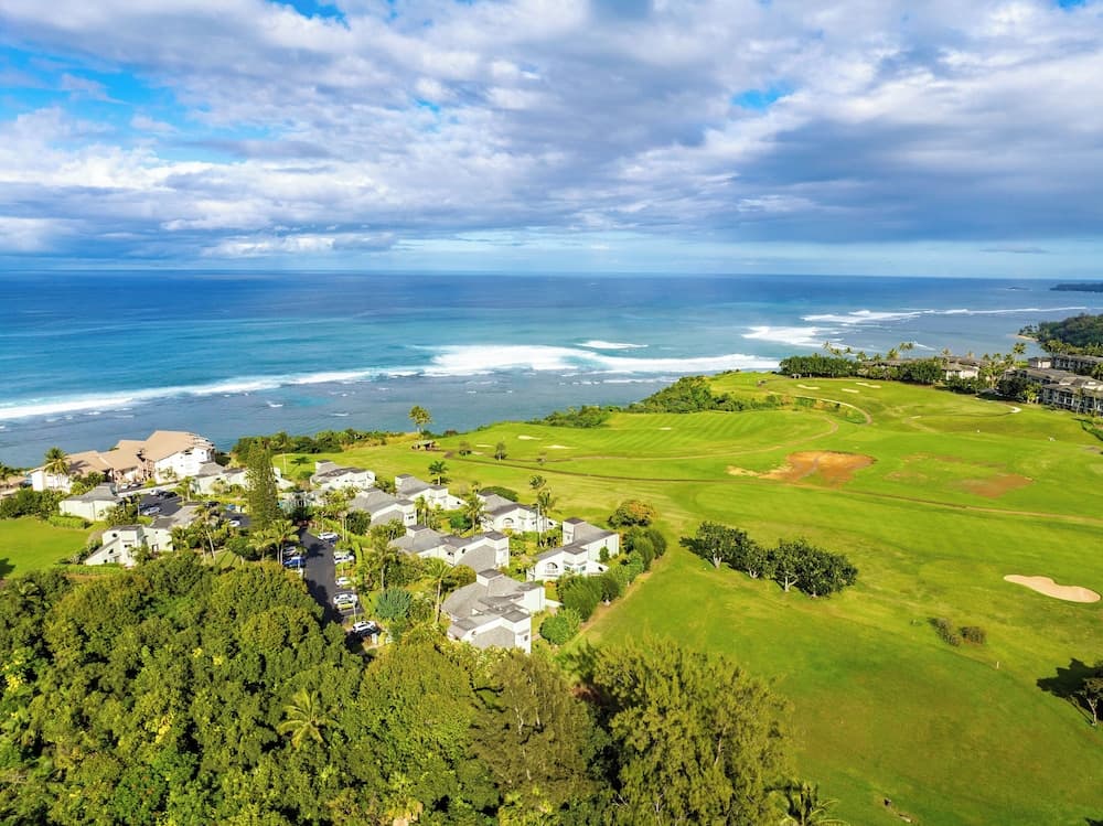 Hale H Omaka - Image 2