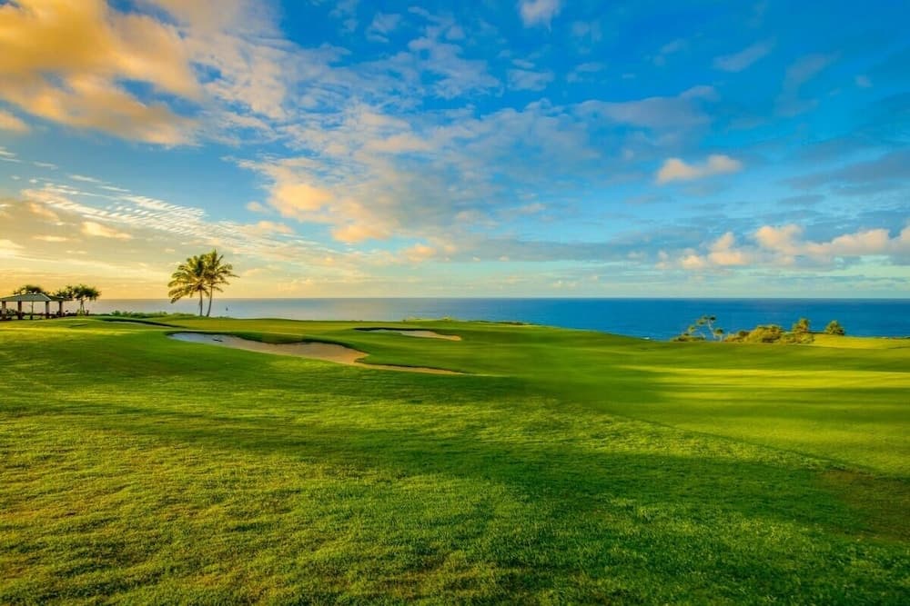 Hale Mauna Nui - Image 33