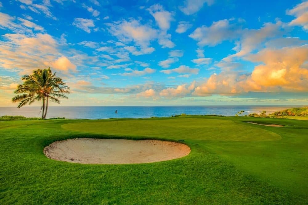 Hale Mauna Nui - Image 34