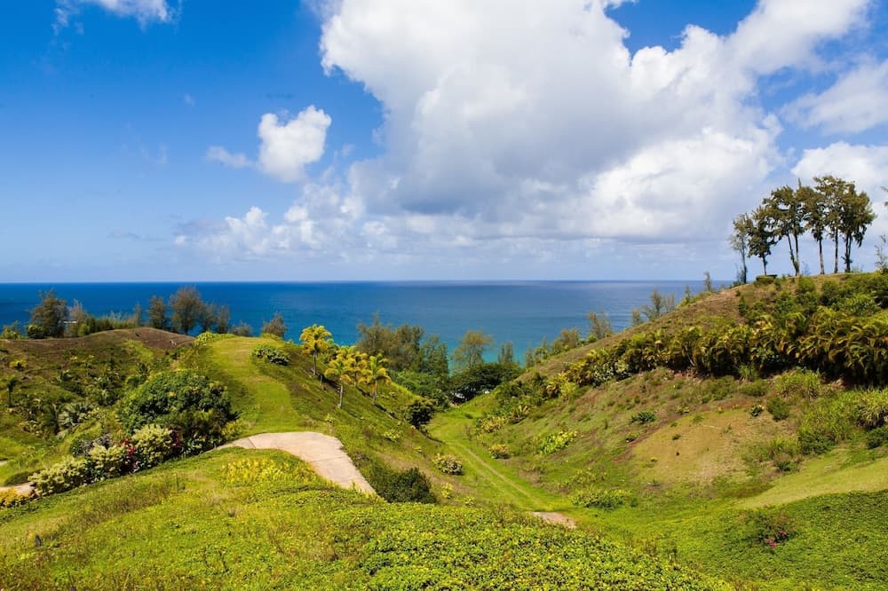 Hale Nanea - Image 16