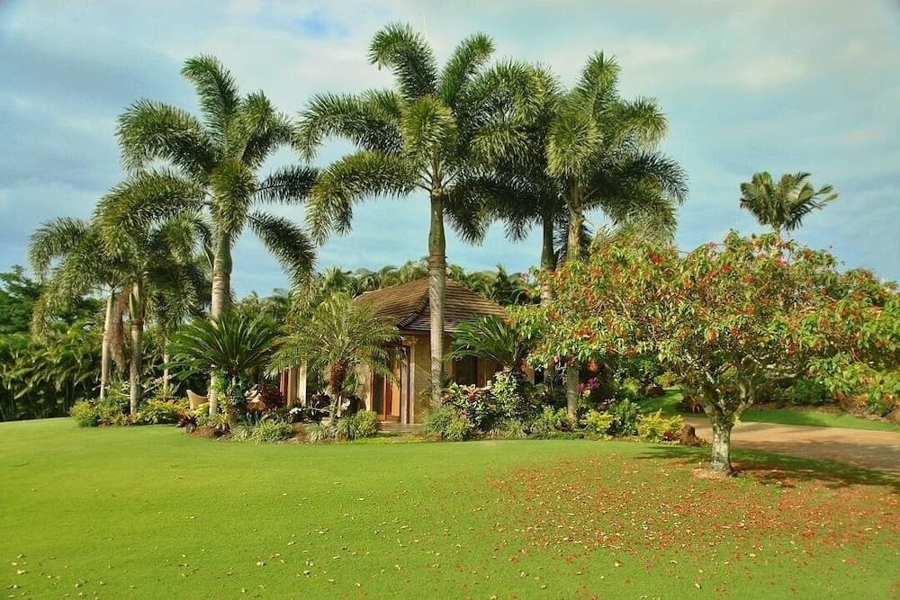 Hale Nanea - Image 17