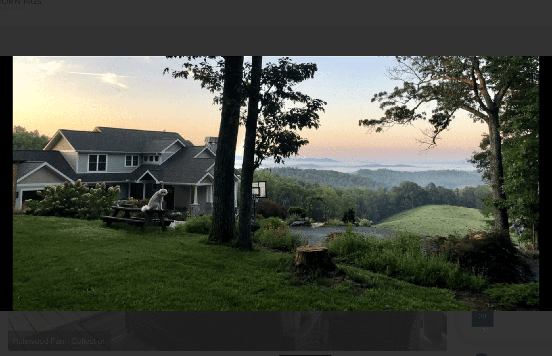 Halewood Farm Collection - Image 3