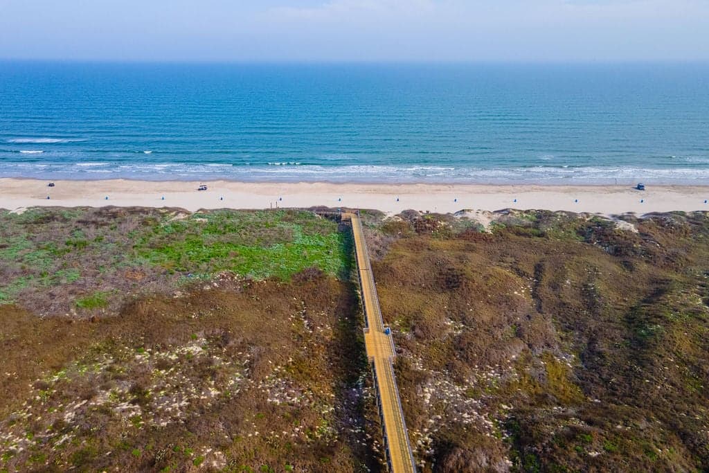 Happy Ours - Image 3