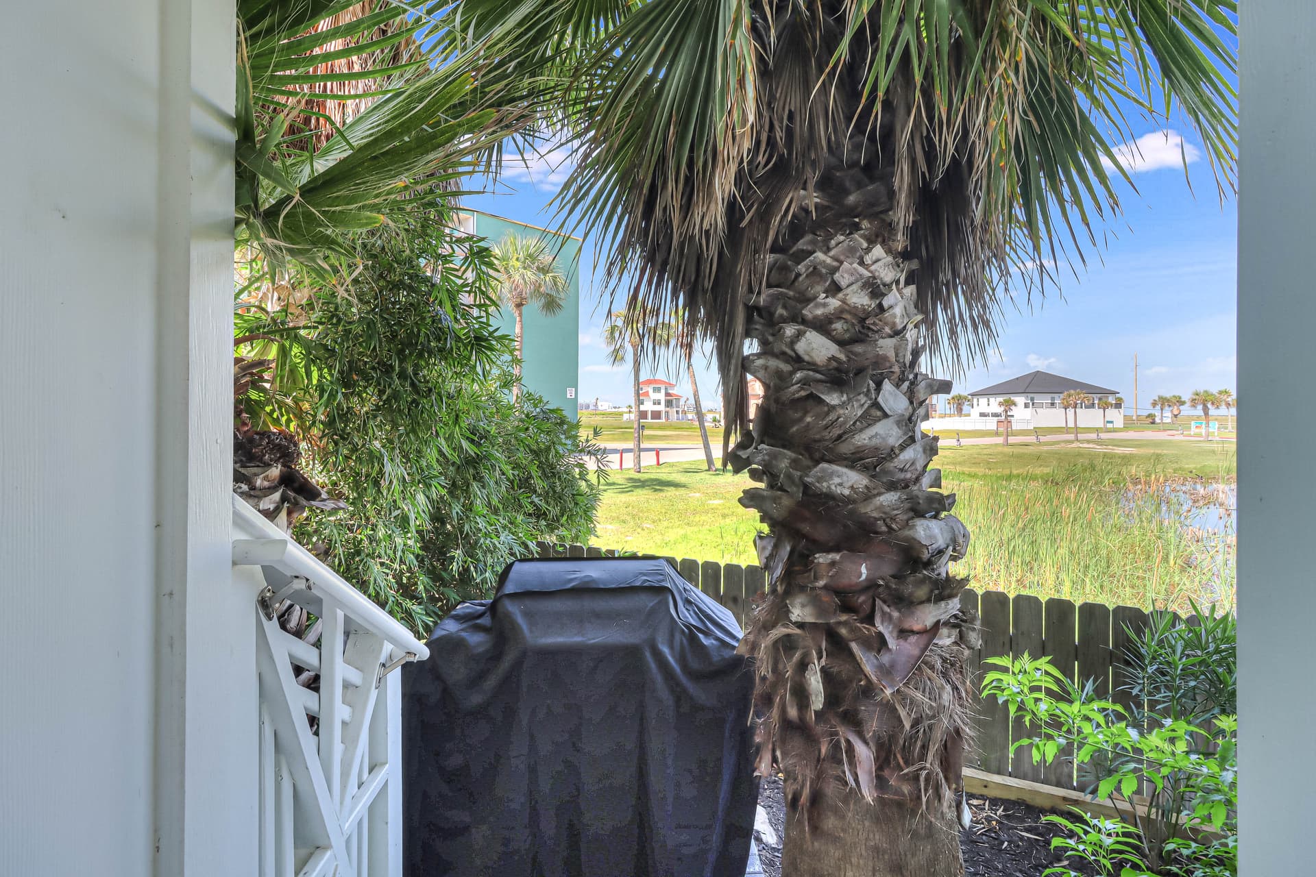 Haus of Jacques - Image 36